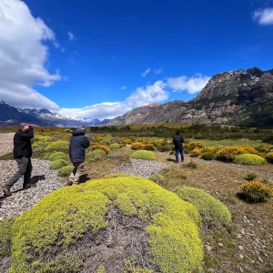 Aventura viedma full day