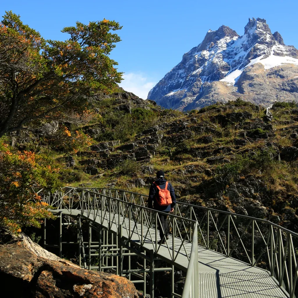 Todo glaciares fun patagonia